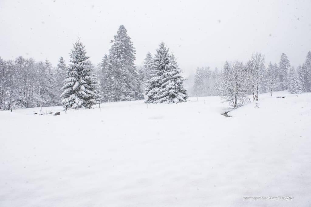 Chalet Charligustine - Gerardmer - 8P Dış mekan fotoğraf