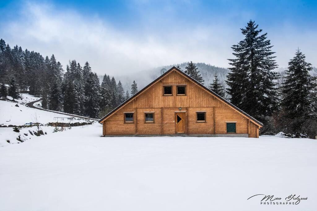 Chalet Charligustine - Gerardmer - 8P Dış mekan fotoğraf