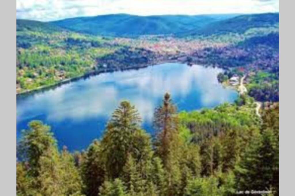 Chalet Charligustine - Gerardmer - 8P Dış mekan fotoğraf